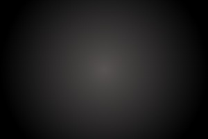 Artifact_981_Item no_649_12283