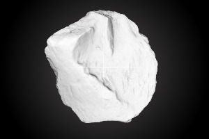 Chiquihuite Cave artifact nr. 1028