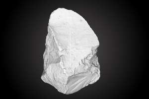 Chiquihuite Cave artifact nr. 1040