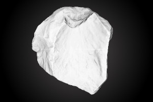 Chiquihuite Cave artifact nr. 359