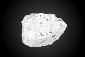 Chiquihuite Cave artifact nr. 540