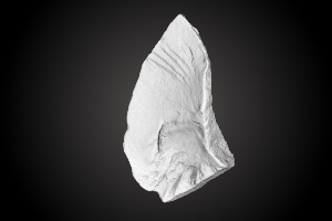 Chiquihuite Cave artifact nr. 570