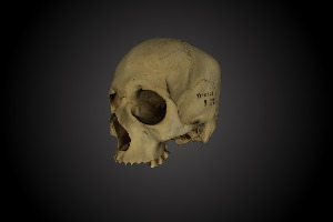 Late Roman or Early Middle Ages skull from Tharros (Sardinia, Italy)