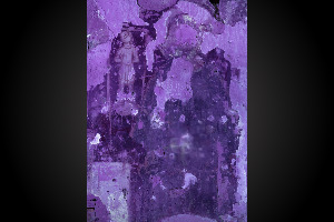 San Ginesio, Chiesa di Sant'Agostino, Sagrestia. Affresco. UV