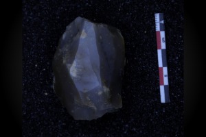 grotte XVI, couche B, nucleus laminaire