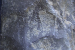 grotte XVI, couche B, tablette