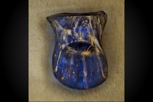 Vetro blu scavo baratti (retro)